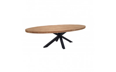 Table Ovale Iron Manguier Massif