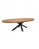 Table Ovale Iron Manguier Massif