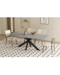 Table Ovale Pierre Danoise Grise 180 cm